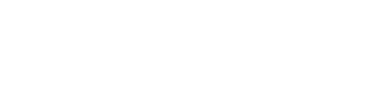 Bois & Concept